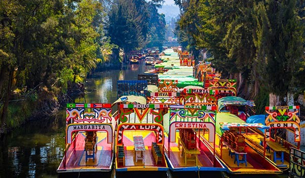 Trajinera en Xochimilco + Coyoacán, con opción a Museo Frida Kahlo