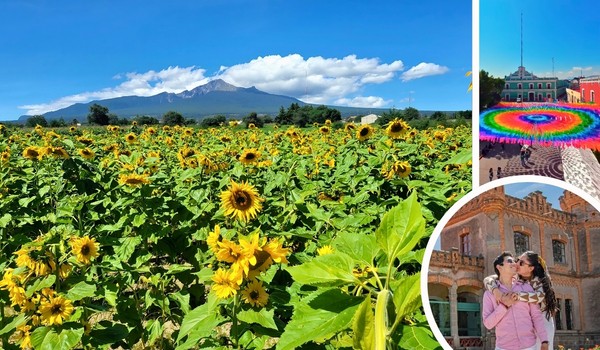 Campo de Girasoles + Huamantla