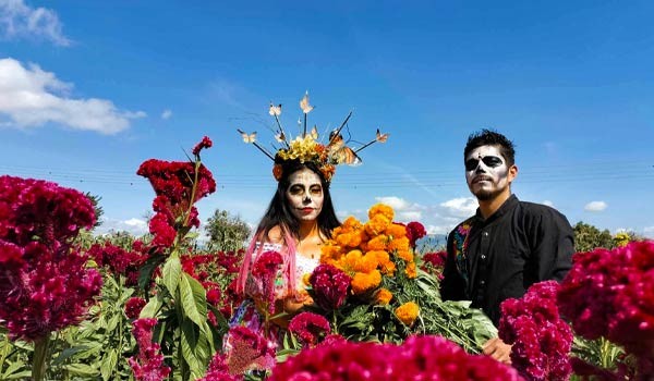Festival Almas y Flores + Campos de Cempasúchil