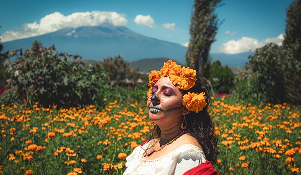 Dia de muertos: Campos de Cempasúchil + Valle de Catrinas