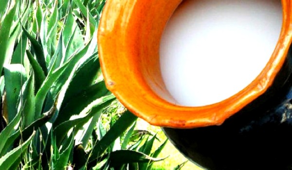 Cascada de Quetzalapan + Chignahuapan