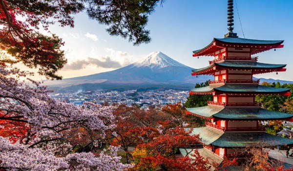 Japón en Contraste: Osaka y Tokio
