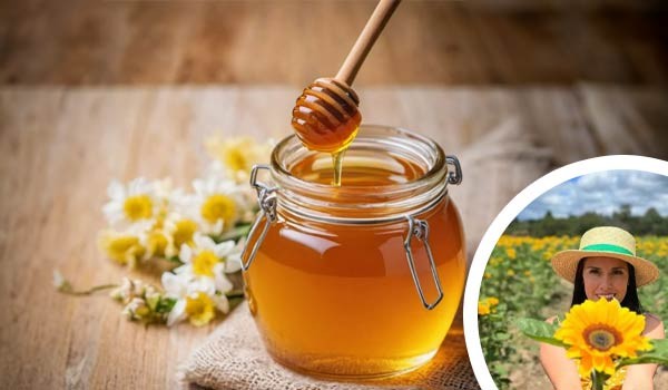 Ruta de la Miel y Campo de Girasoles