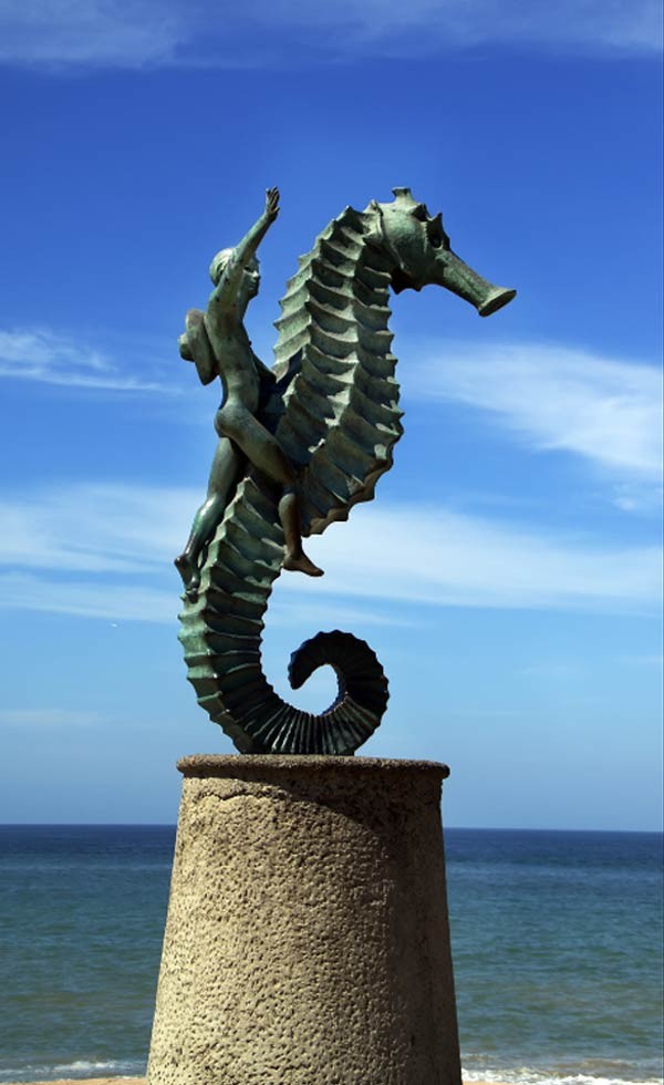 Sayulita + Punta Mita + Puerto Vallarta