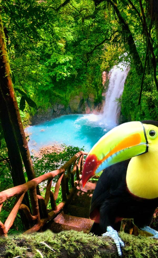 ¡Tour Especial! Costa Rica: Pura vida