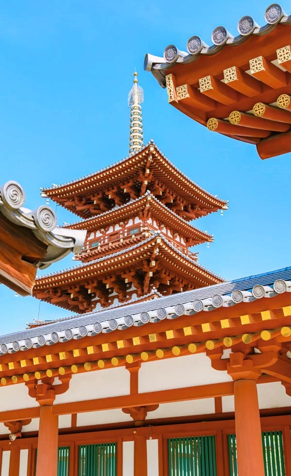 Vive Japón: Tokio, Kioto, Osaka y Hakone